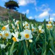 ヒメ日記 2026/01/19 11:13 投稿 不破　すみれこ エテルナ京都