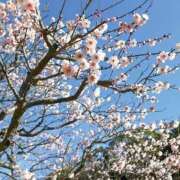 不破　すみれこ 梅の花によせて。 エテルナ京都