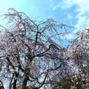 ヒメ日記 2026/03/07 13:13 投稿 不破　すみれこ エテルナ京都