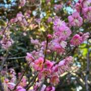 不破　すみれこ お身体冷えませんように。 エテルナ京都