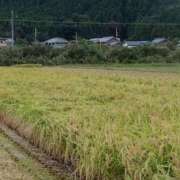 ヒメ日記 2026/10/04 12:42 投稿 不破　すみれこ エテルナ京都