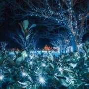 ヒメ日記 2024/12/19 20:49 投稿 いるみ 艶熟妻 京都店