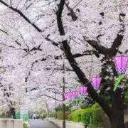 ヒメ日記 2025/03/10 18:25 投稿 いるみ 艶熟妻 京都店