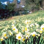 ヒメ日記 2025/03/13 09:45 投稿 いるみ 艶熟妻 京都店