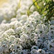 ヒメ日記 2025/04/24 16:22 投稿 いるみ 艶熟妻 京都店