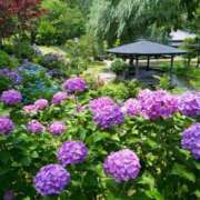 ヒメ日記 2025/06/24 20:38 投稿 いるみ 艶熟妻 京都店