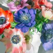 いるみ 先日の御礼が、大変おそくなり、申し訳ありません。 艶熟妻 京都店