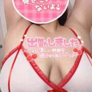 ヒメ日記 2025/11/09 10:29 投稿 遊川 BBW（ビッグビューティフルウーマン）