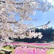 ヒメ日記 2026/04/06 21:01 投稿 遊川 BBW（ビッグビューティフルウーマン）