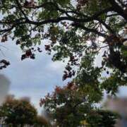 ヒメ日記 2024/12/24 17:17 投稿 藤沢 美紀 直電デリヘル TOUCH