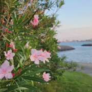 ヒメ日記 2025/02/16 10:34 投稿 藤沢 美紀 直電デリヘル TOUCH