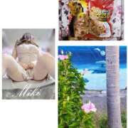 ヒメ日記 2025/02/17 10:55 投稿 藤沢 美紀 直電デリヘル TOUCH