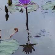 ヒメ日記 2025/05/16 20:32 投稿 藤沢 美紀 直電デリヘル TOUCH