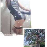 ヒメ日記 2025/11/13 18:54 投稿 藤沢 美紀 直電デリヘル TOUCH