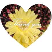 ヒメ日記 2025/11/19 23:22 投稿 藤沢 美紀 直電デリヘル TOUCH