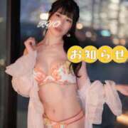 ヒメ日記 2025/04/15 20:01 投稿 りょう ノース -North-