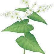 ヒメ日記 2026/03/28 17:44 投稿 りょう ノース -North-