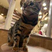 ヒメ日記 2025/01/13 20:42 投稿 ゆりな 和楽(わらく)