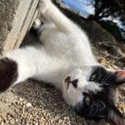 ヒメ日記 2025/03/06 22:40 投稿 ゆりな 和楽(わらく)