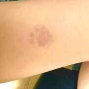 ヒメ日記 2025/05/08 21:43 投稿 ゆりな 和楽(わらく)