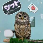 ヒメ日記 2025/06/29 08:45 投稿 ゆりな 和楽(わらく)