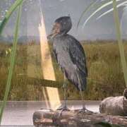 ヒメ日記 2025/08/28 15:40 投稿 ゆりな 和楽(わらく)