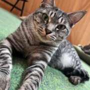 ヒメ日記 2025/11/02 08:45 投稿 ゆりな 和楽(わらく)