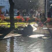 ヒメ日記 2025/02/23 10:42 投稿 いぶき 11チャンネル