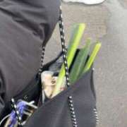 ヒメ日記 2025/02/26 17:35 投稿 いぶき 11チャンネル