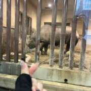 ヒメ日記 2025/03/03 12:27 投稿 いぶき 11チャンネル