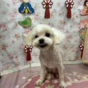 ヒメ日記 2025/03/13 14:57 投稿 いぶき 11チャンネル