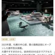 ヒメ日記 2025/03/18 12:39 投稿 いぶき 11チャンネル