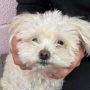 ヒメ日記 2025/04/30 11:45 投稿 いぶき 11チャンネル