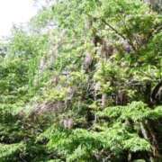 ヒメ日記 2025/05/13 14:15 投稿 いぶき 11チャンネル