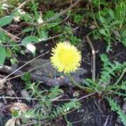 ヒメ日記 2025/05/18 13:49 投稿 いぶき 11チャンネル