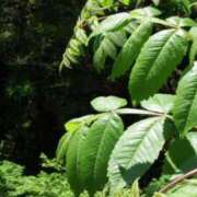 ヒメ日記 2025/05/19 21:02 投稿 いぶき 11チャンネル