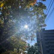 ヒメ日記 2025/11/05 20:18 投稿 いぶき 11チャンネル