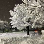 ヒメ日記 2026/01/30 07:47 投稿 いぶき 11チャンネル