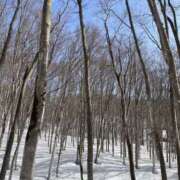 ヒメ日記 2026/02/26 03:08 投稿 いぶき 11チャンネル