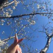 ヒメ日記 2026/03/24 13:35 投稿 いぶき 11チャンネル