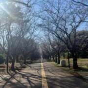 ヒメ日記 2026/03/28 13:52 投稿 いぶき 11チャンネル