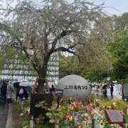 ヒメ日記 2026/04/04 14:55 投稿 いぶき 11チャンネル