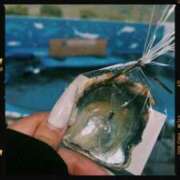 ヒメ日記 2026/04/09 18:34 投稿 いぶき 11チャンネル