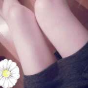 ヒメ日記 2025/04/16 16:12 投稿 二宮 沙樹 極みSPAネクサス東海(旧イマジン名古屋)