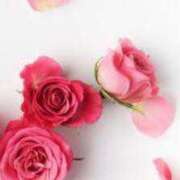 ヒメ日記 2026/01/04 20:31 投稿 二宮 沙樹 極みSPAネクサス東海(旧イマジン名古屋)