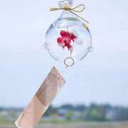 ヒメ日記 2025/07/28 17:35 投稿 ゆりの アイムシェイク