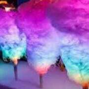 ヒメ日記 2025/08/10 12:35 投稿 ゆりの アイムシェイク