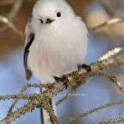 ヒメ日記 2025/09/10 18:10 投稿 ゆりの アイムシェイク