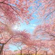 ヒメ日記 2026/03/30 22:23 投稿 ゆりの アイムシェイク