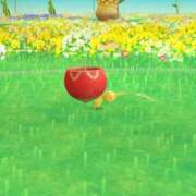 ヒメ日記 2025/04/13 18:33 投稿 ぴあ 完全密室 無抵抗